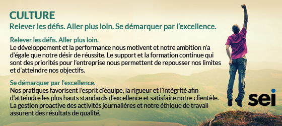Représentants des ventes chez SEI Telecom Représentants des ventes chez SEI Telecom